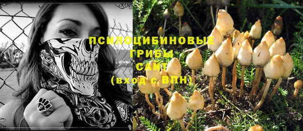 тгк Кулебаки