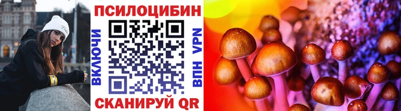 Псилоцибиновые грибы MAGIC MUSHROOMS Купить где Каменка
