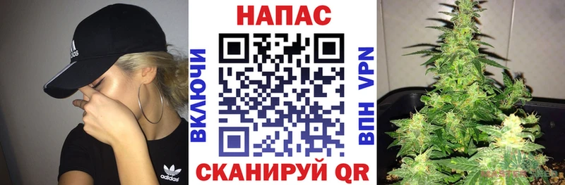 Бошки Шишки SATIVA & INDICA  Купить где  Каменка 